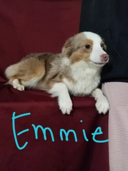 Emmie