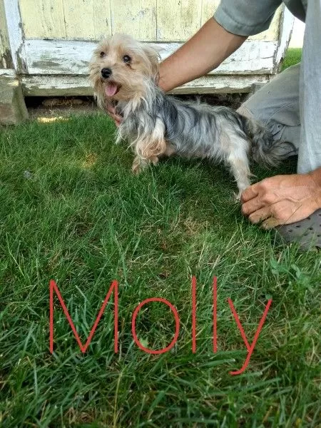 Molly